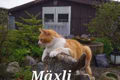 WhatsApp-Image-2023-09-22-at-16.33.03