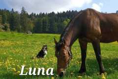 WhatsApp-Image-2023-09-22-at-16.34.41