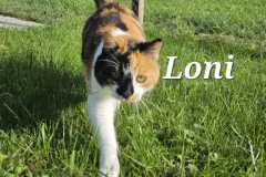 WhatsApp-Image-2023-10-09-at-20.37.23