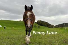 WhatsApp-Image-2023-10-09-at-20.37.25-1