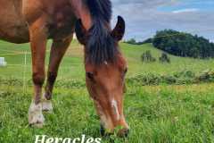 WhatsApp-Image-2023-10-09-at-20.37.30-1