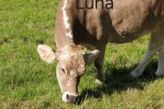 WhatsApp-Image-2025-10-28-at-13.08.29-1