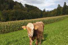 WhatsApp-Image-2025-10-28-at-13.08.29-2