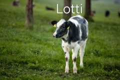 WhatsApp-Image-2025-10-28-at-13.08.29-3