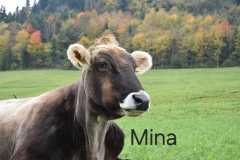 WhatsApp-Image-2025-10-28-at-13.08.30-1