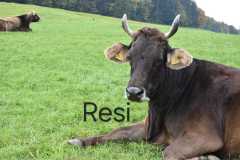 WhatsApp-Image-2025-10-28-at-13.08.30