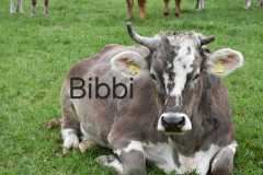 WhatsApp-Image-2025-10-28-at-13.08.31-1