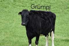 WhatsApp-Image-2025-10-28-at-13.08.31-3