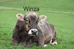 WhatsApp-Image-2025-10-28-at-13.08.31