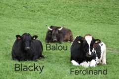 WhatsApp-Image-2025-10-28-at-13.08.32-1