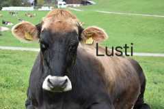 WhatsApp-Image-2025-10-28-at-13.08.32-2