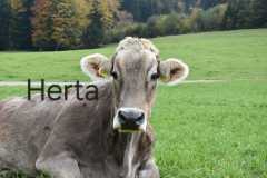 WhatsApp-Image-2025-10-28-at-13.08.32-3