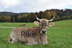 WhatsApp-Image-2025-10-28-at-13.08.33-2