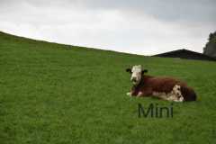 WhatsApp-Image-2025-10-28-at-13.08.33-3