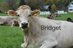 WhatsApp-Image-2025-10-28-at-13.08.33