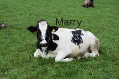 WhatsApp-Image-2025-10-28-at-13.08.34-1