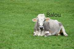 WhatsApp-Image-2025-10-28-at-13.08.34-2