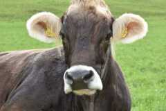 WhatsApp-Image-2025-10-28-at-13.08.35-1