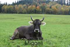 WhatsApp-Image-2025-10-28-at-13.08.35-2