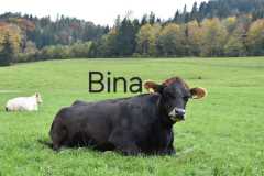 WhatsApp-Image-2025-10-28-at-13.08.35