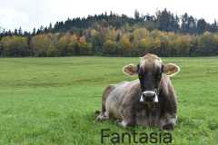 WhatsApp-Image-2025-10-28-at-13.08.36-1