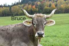 WhatsApp-Image-2025-10-28-at-13.08.36-2