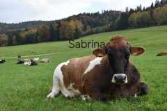 WhatsApp-Image-2025-10-28-at-13.08.36