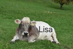 WhatsApp-Image-2025-10-28-at-13.08.37-1