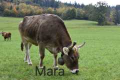 WhatsApp-Image-2025-10-28-at-13.08.37-2