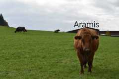 WhatsApp-Image-2025-10-28-at-13.08.37