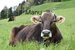 WhatsApp-Image-2025-10-28-at-13.08.38-1