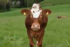 WhatsApp-Image-2025-10-28-at-13.08.38-2