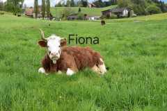 WhatsApp-Image-2025-10-28-at-13.08.38